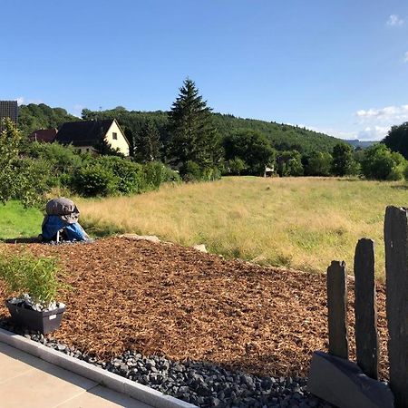 Villa Havre de paix dans le Jura Alsacien avec piscine privée externe de mai à septembre à Bendorf Extérieur photo