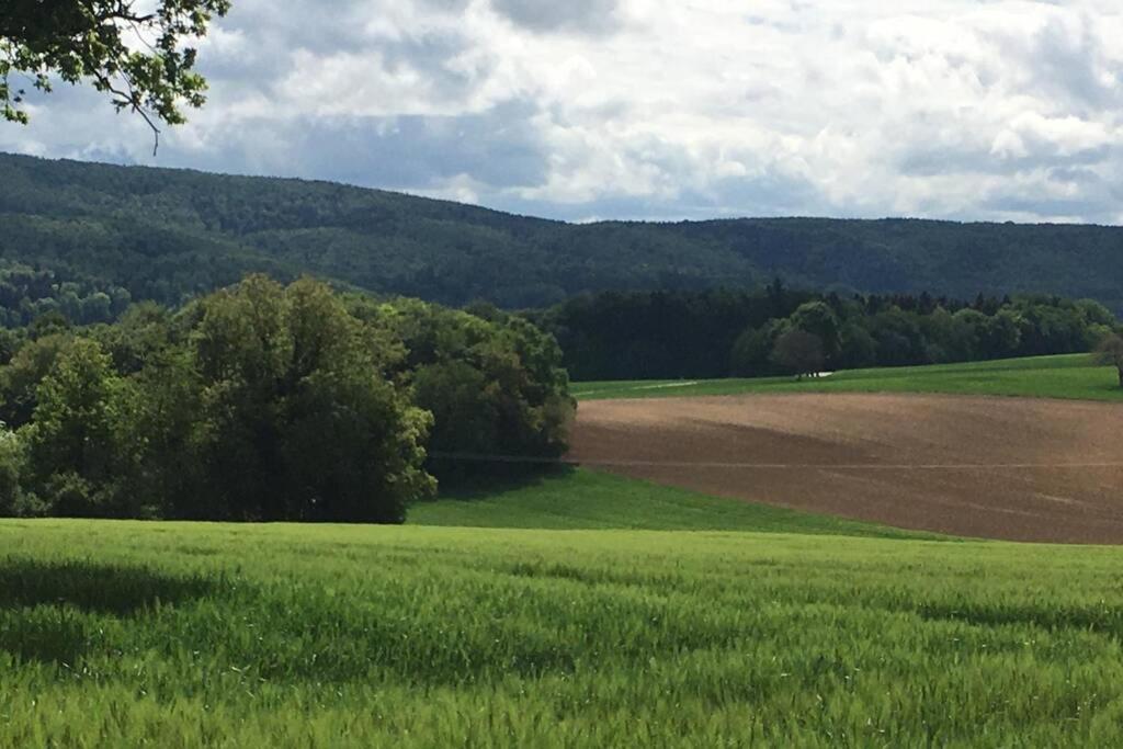 Villa Havre de paix dans le Jura Alsacien avec piscine privée externe de mai à septembre à Bendorf Extérieur photo