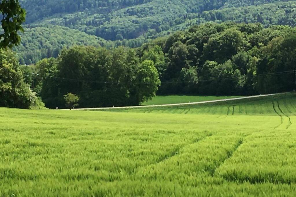 Villa Havre de paix dans le Jura Alsacien avec piscine privée externe de mai à septembre à Bendorf Extérieur photo