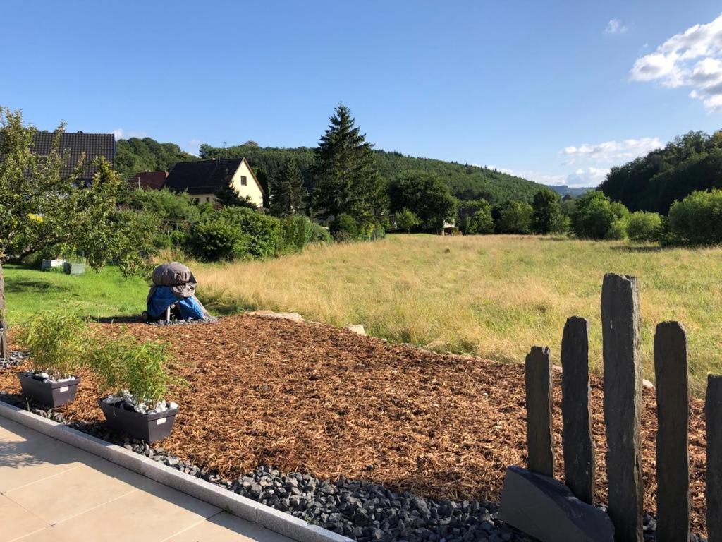 Villa Havre de paix dans le Jura Alsacien avec piscine privée externe de mai à septembre à Bendorf Extérieur photo